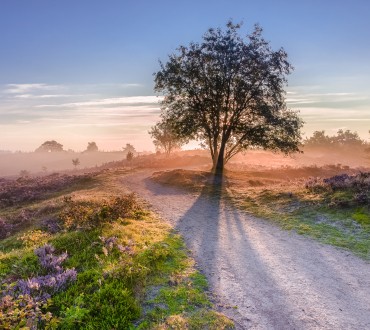 Depositphotos_82144396_xl-2015.jpg