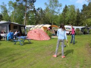 comfort plaats Camping de Zandhegge H 38.JPG