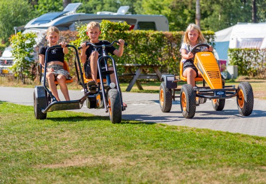 kinderen skelters.jpg