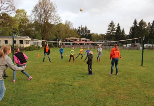 volleybal spelen volleybal spelen
