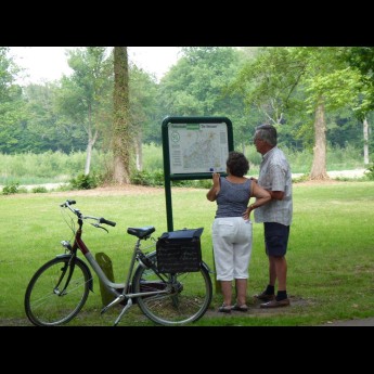Foto fietsen.jpg