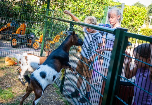dieren voeren recreatie.jpg