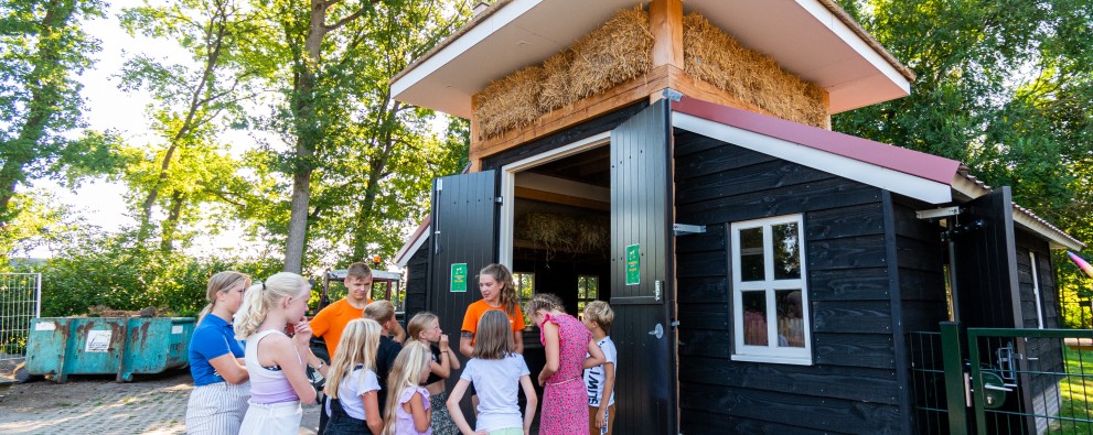 recreatie dierenweide dieren voeren.jpg