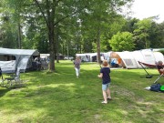 Badminton Douglaslaan - Camping de Zandhegge.jpg