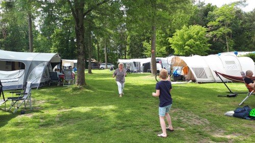 Badminton Douglaslaan - Camping de Zandhegge.jpg
