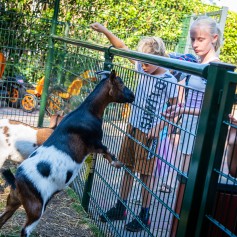 dieren voeren recreatie.jpg